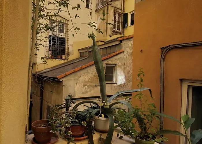 L'angolo In San Luca *