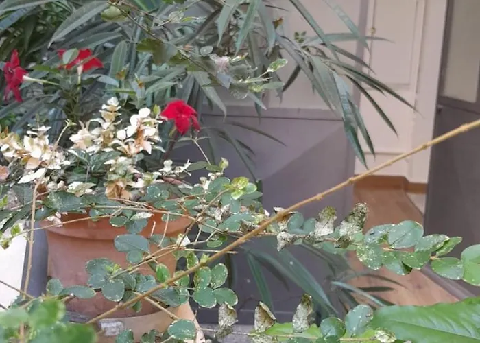 L'angolo In San Luca ג'נובה